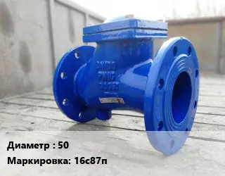 Клапан стальной 50 16с87п Ру16 обратный, подъемный от -40 до +200